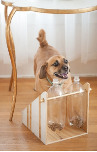 Bottle dog treat dispenser